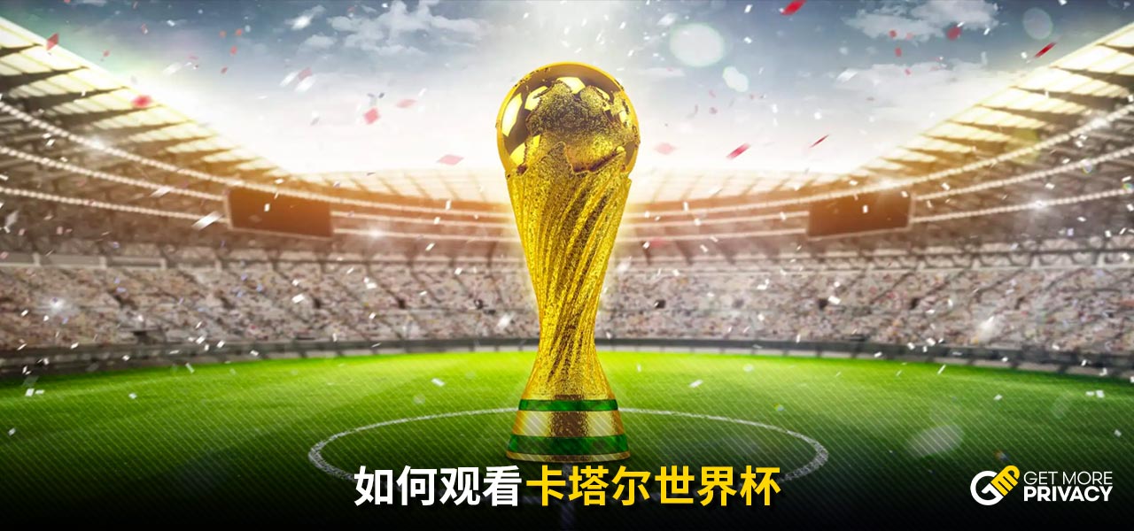 年全国轮椅